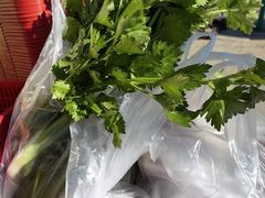 -大自然农场蔬菜草莓采摘园