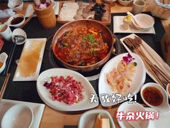 -蓉客成都火锅·招牌麻辣牛杂·特色香辣蹄花(凌水店)