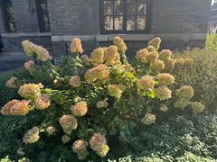 -张学良旧居陈列馆