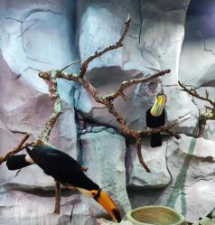 -Zoolung Zoolung动物主题公园(海信广场店)