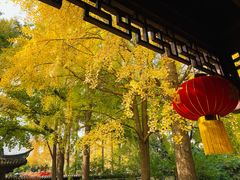 -郑和公园