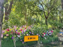 -沂蒙云瀑洞天景区