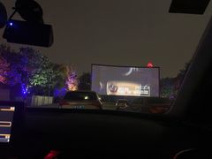 -枫花园汽车电影院(朝阳公园店)