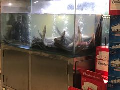 水产区-本炙炭烤·蒲烧活鳗料理店(金沙洲店)
