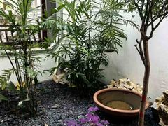 -丫丫蟹庄·苏式园林农家乐·阳澄湖大闸蟹(阳澄湖莲花岛店)