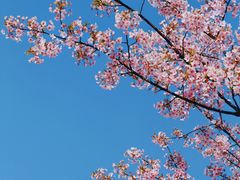 -新江湾城公园