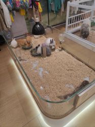 -小象动悟公园(龙湖亦庄天街店)