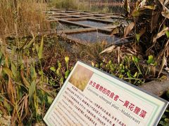 -华南国家植物园-售票处