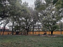 -西园戒幢律寺