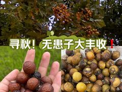 -白鹭湾湿地公园