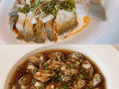 -顺味凤城·顺德菜专门店(九六广场店)