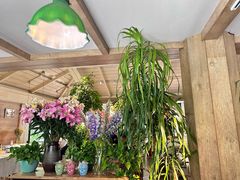 -春暖花开(西溪店)