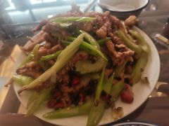 干煸鱿鱼须-鑫来子菜馆