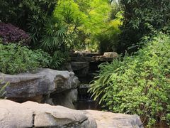 -龙头寺公园