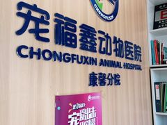 -宠福鑫康馨动物医院·骨科·眼科