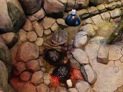 -无锡动物园·太湖欢乐园
