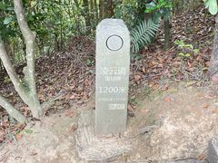 -梧桐山风景名胜区