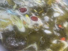 -京门活鱼馆·鱼火锅(百子湾（原红庙）店)