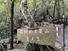 -七仙岭温泉国家森林公园