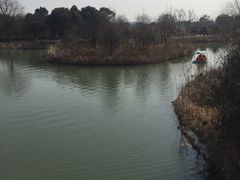 -梁鸿国家湿地公园
