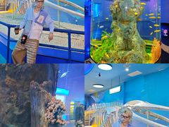 -福州罗源湾海洋世界旅游区