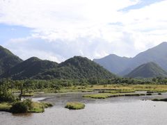 -大九湖