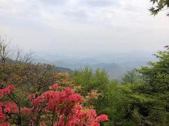 -莫干山风景区