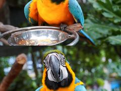 -灵玲国际马戏城