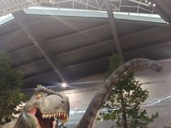 -湖南省地质博物馆