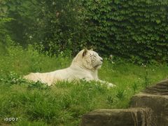 -杭州野生动物世界