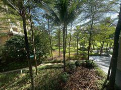 -海南清水湾莱佛士酒店