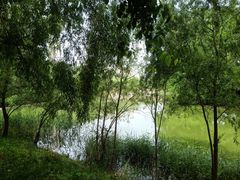 -长白岛森林公园