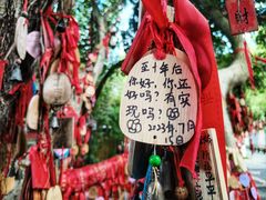 -白帝城·瞿塘峡景区