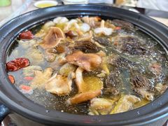 -蘑统田下·野生菌火锅