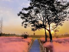 -汉长安城未央宫国家考古遗址公园