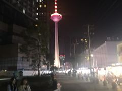 -辽宁电视塔