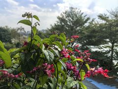 -顺德了能馆(虎门店)