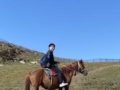 -灵山