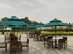 -厦门悦华酒店·绿庭主题自助餐厅