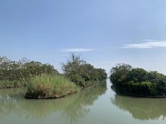 -大湾区中央湿地公园