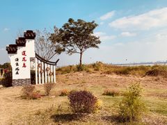 -七的湖·晚芳亭·阳澄湖农家菜·大闸蟹(莲花岛店)