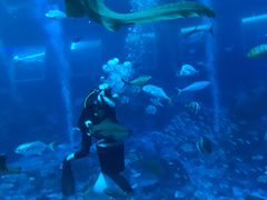 -新加坡海洋生态馆