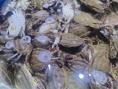 -聚盛源蒸汽海鲜火锅烤肉自助(巨川金海岸购物广场店)
