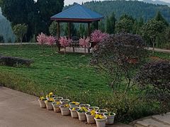 -中国香山·寿香谷