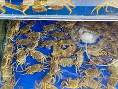 -阳澄湖大闸蟹·琼灵阁牌品牌连锁(吴中总店)