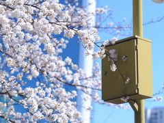 -西北湖绿化广场