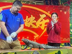 -上海大自然野生昆虫馆(东方明珠·爬宠昆虫探索中心)