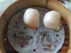 -一品粤珍轩(吴中路店)