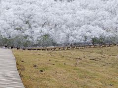 -太子岭滑雪场