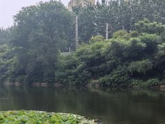 -前关湿地公园